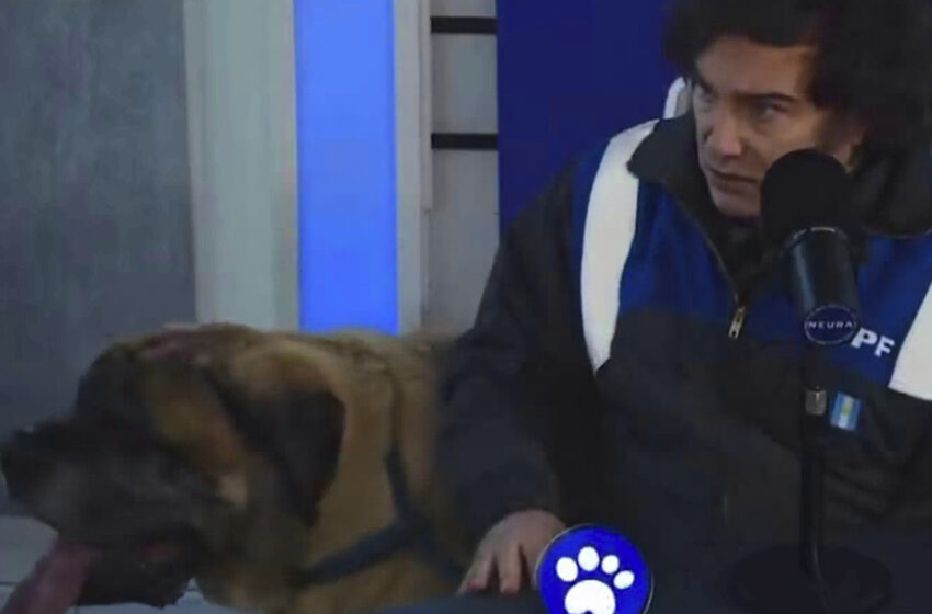 Javier Milei apareció con su perro Conan en un programa de streaming