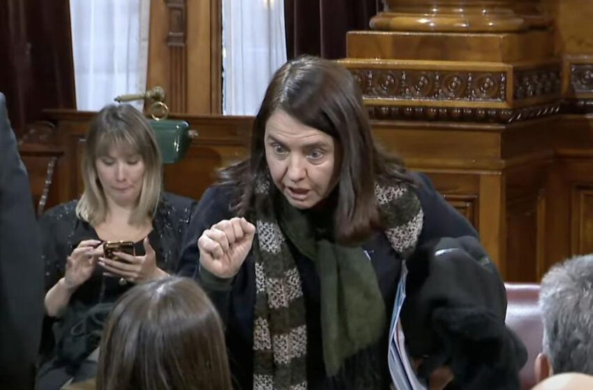  Senado: el papelón de Carmen Alvarez Rivero cuando intentó levantar la Comisión de Trabajo