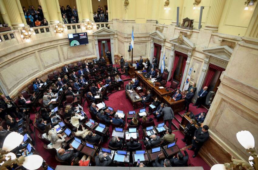 Senadores de la oposición pidieron sesionar hoy por las universidades y la salud
