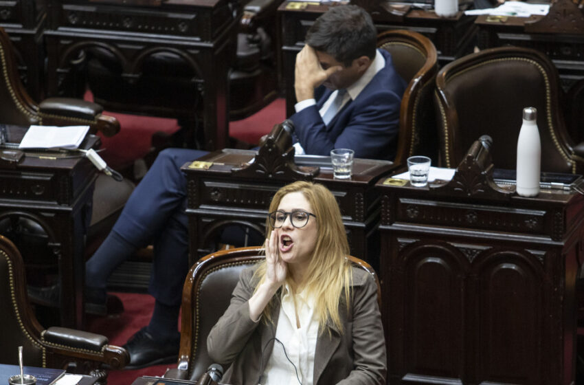 Lilia Lemoine y Marcela Pagano se cruzaron a los gritos en el Congreso